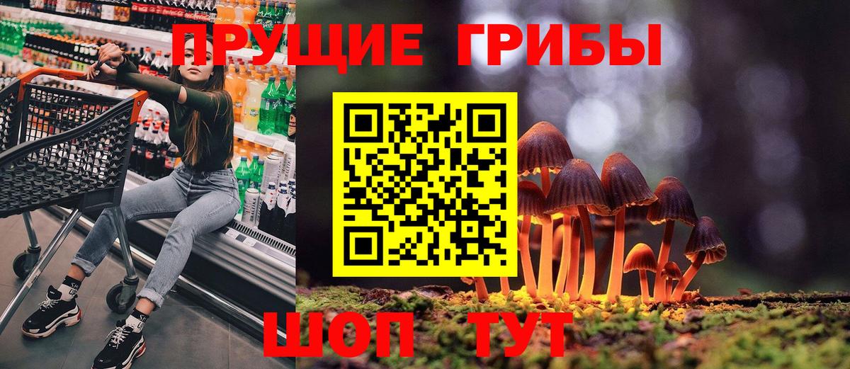 Галлюциногенные грибы мицелий Новосибирск