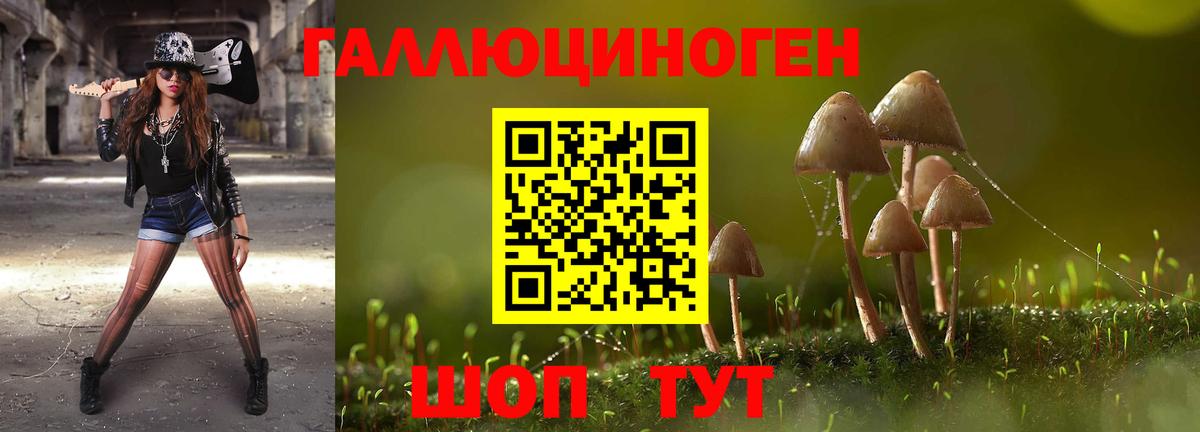 Новосибирск  Псилоцибиновые грибы мицелий  Вход с VPN 